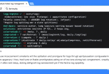 服务器日志文件过大怎么办？三招教你自动清理防卡顿-九零云资讯网