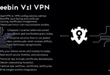 Debian系统下OpenVPN和WireGuard究竟哪个更适合你-九零云资讯网