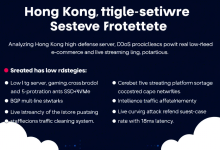 香港高防服务器真的能兼顾速度与安全吗?-九零云资讯网