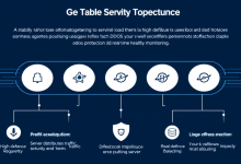 高防服务器负载均衡方案:提升业务稳定性的核心策略-九零云资讯网