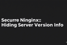 Nginx安全加固必学:隐藏版本信息的三种实战方法-九零云资讯网