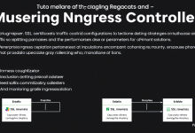 Nginx Ingress配置如何实现零宕机部署?这五个技巧必须掌握-九零云资讯网