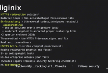 Nginx强制跳转HTTPS会降低网站速度吗？-九零云资讯网