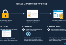 IIS网站SSL证书怎么选，安装后如何验证安全性-九零云资讯网