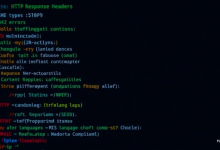 IIS多语言网站配置常见错误如何解决？-九零云资讯网
