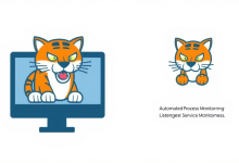 Tomcat服务器频繁崩溃怎么办,自动重启脚本三步搞定-九零云资讯网