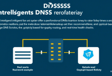 VPS搭建智能DNS解析有哪些高性价比方案,新手如何快速上手?-九零云资讯网