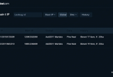 138查询ip准确吗，如何正确解读查询结果？-九零云资讯网