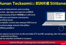 为什么修改DNS设置能让湖南电信用户网速翻倍?-九零云资讯网