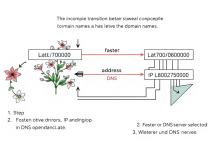 电脑手机连不上网？一招解决DNS错误问题-九零云资讯网